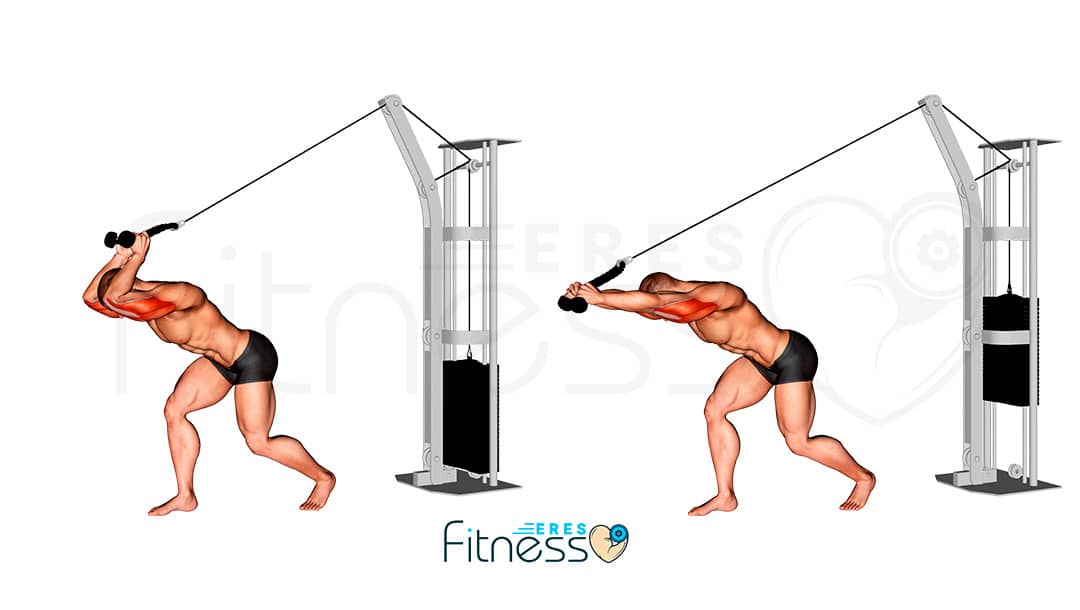 Imagen de Tríceps con soga tras nuca